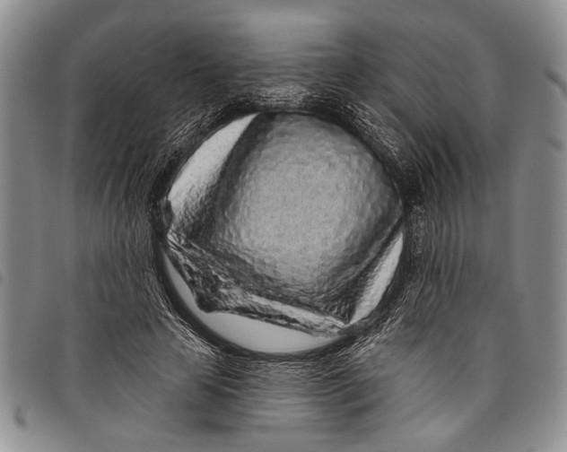X0000097970641200804141053