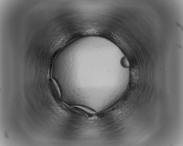 X0000097970642200804141053