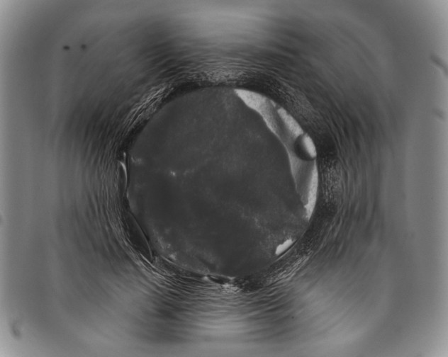 X0000097970644200804141053