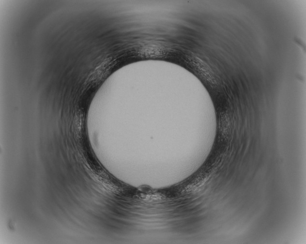 X0000097970645200804141053