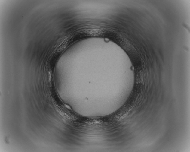 X0000097970646200804141053