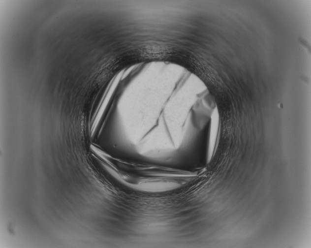 X0000097970647200804141053