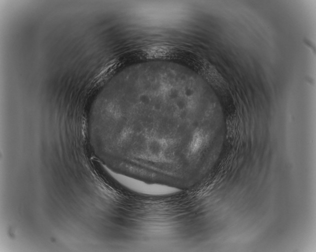 X0000097970648200804141053