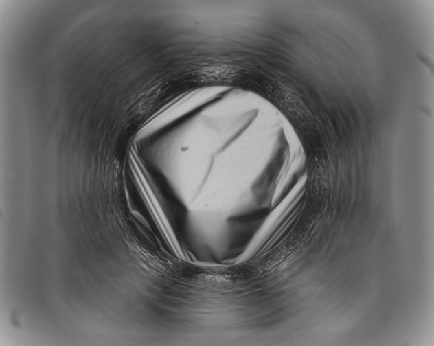 X0000097970649200804141053