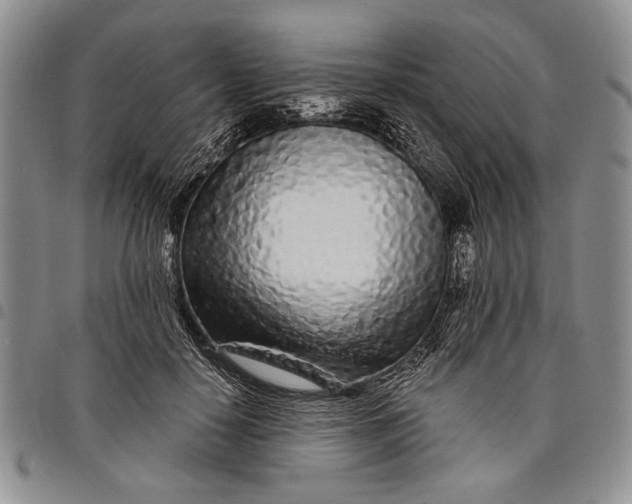 X0000097970650200804141053