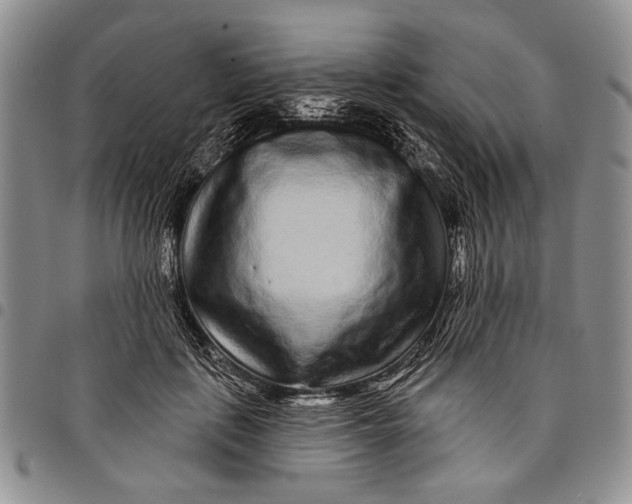 X0000097970651200804141053