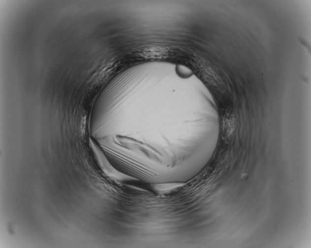 X0000097970652200804141053