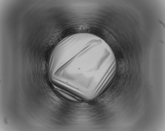 X0000097970654200804141053