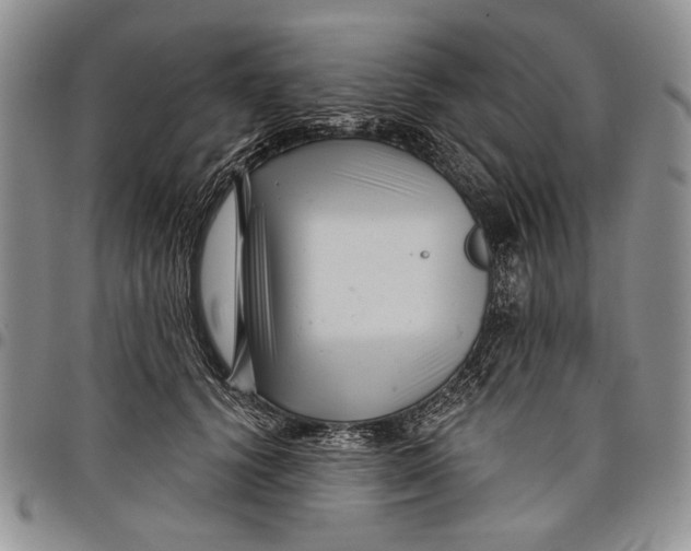 X0000097970656200804141053
