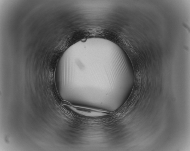 X0000097970657200804141053