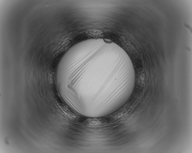 X0000097970658200804141053