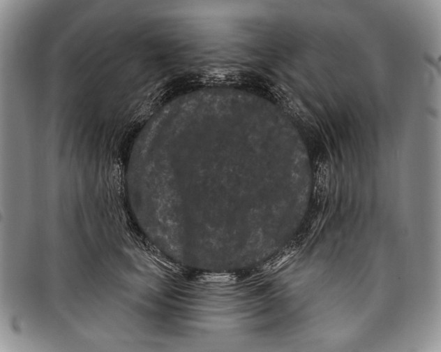 X0000097970659200804141053
