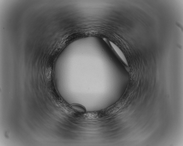 X0000097970660200804141053
