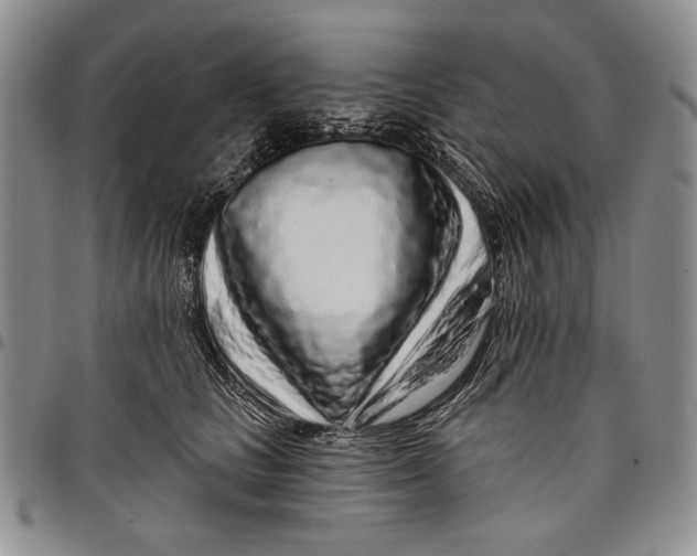 X0000097970661200804141053