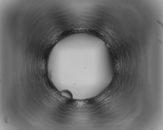 X0000097970662200804141053