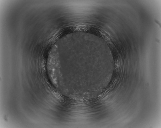 X0000097970663200804141054