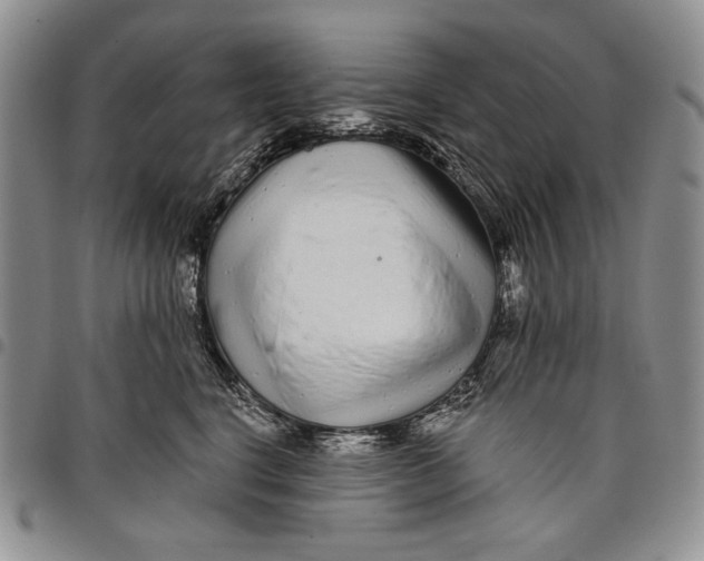 X0000097970664200804141054