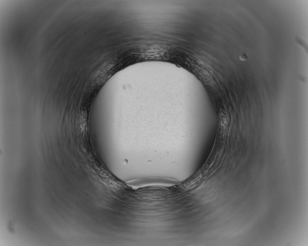 X0000097970665200804141054