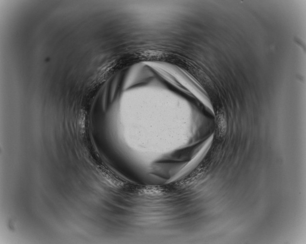 X0000097970668200804141054