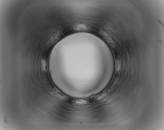 X0000097970669200804141054