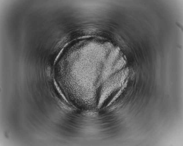 X0000097970670200804141054