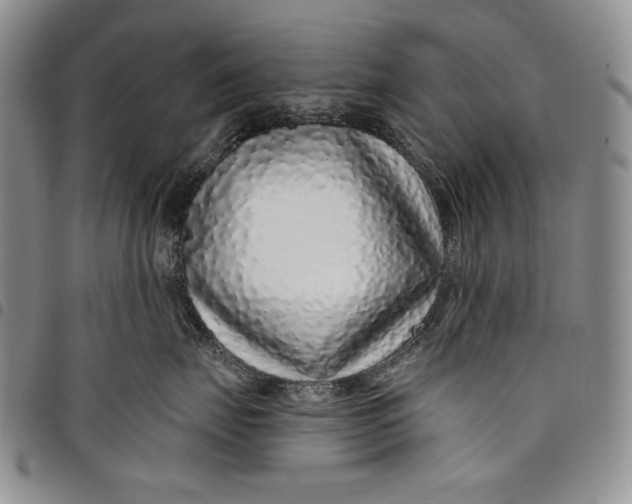X0000097970671200804141054