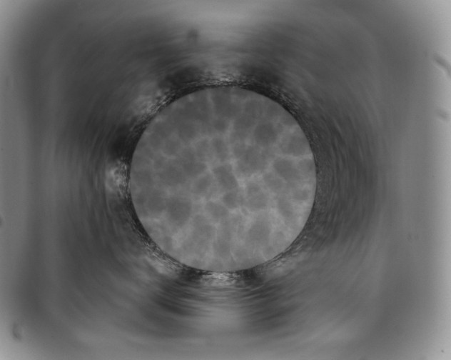 X0000097970672200804141054