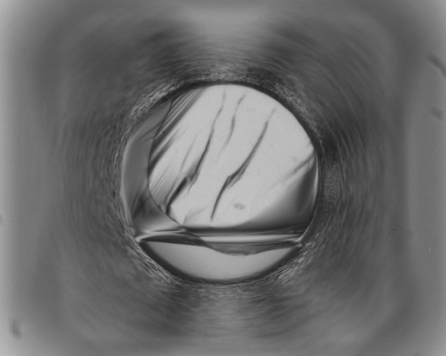 X0000097970673200804141053