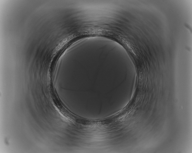 X0000097970674200804141053