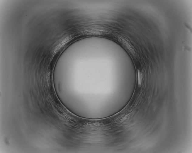 X0000097970675200804141053