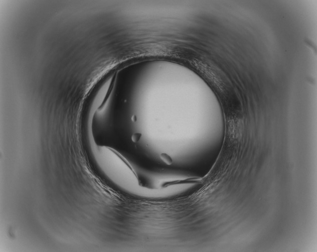 X0000097970676200804141053