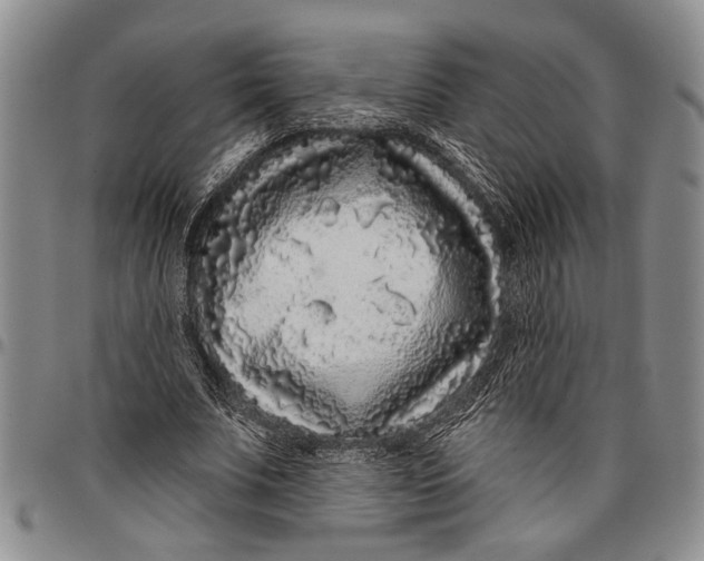 X0000097970679200804141053