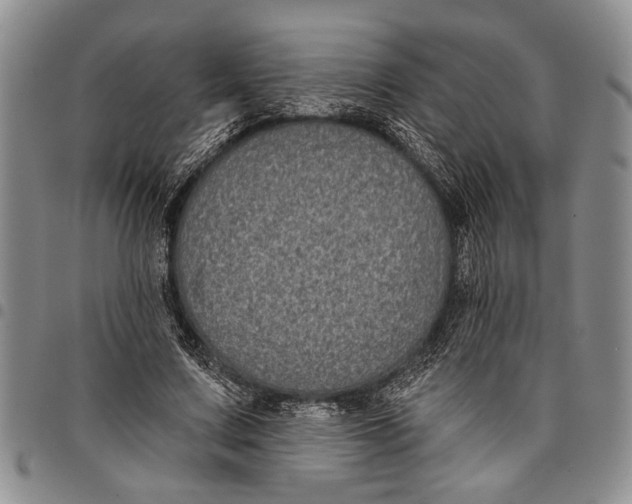 X0000097970683200804141052