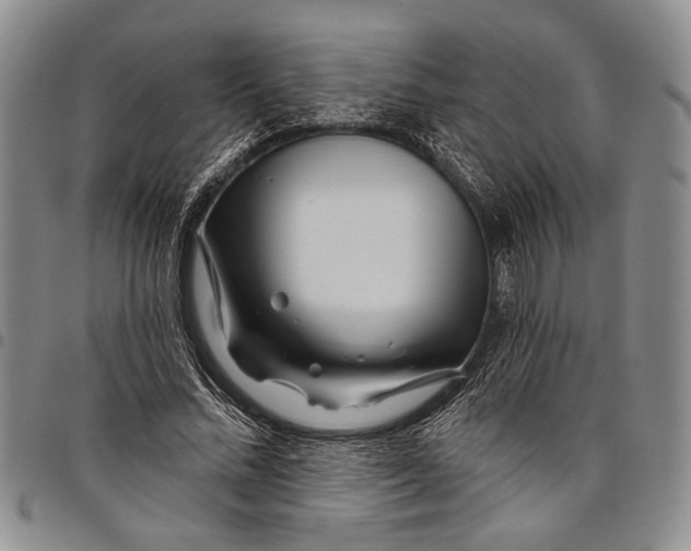 X0000097970684200804141052