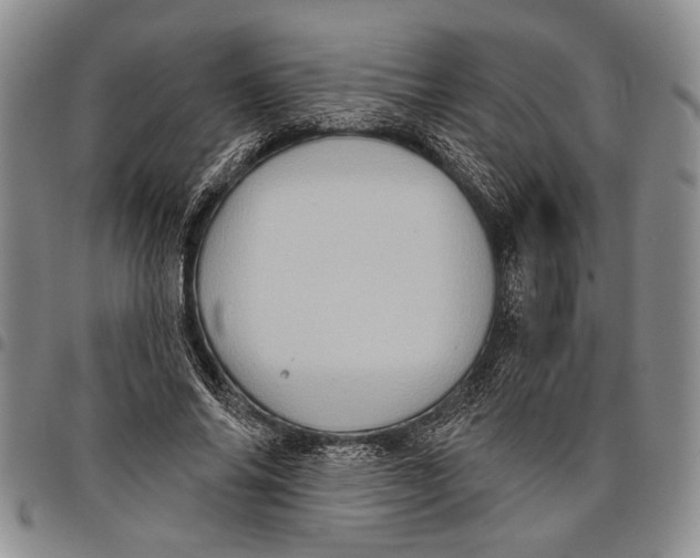 X0000097970686200804141052