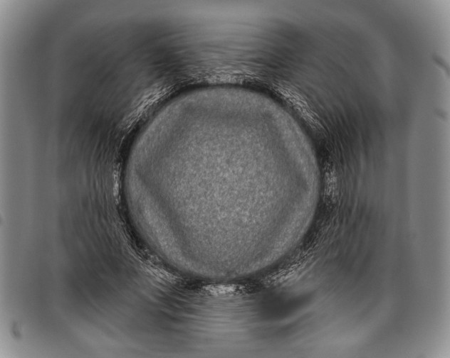 X0000097970687200804141052