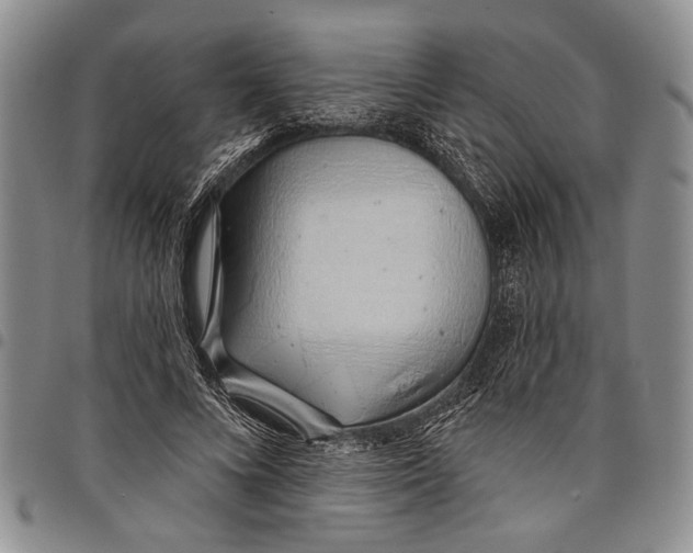 X0000097970688200804141052
