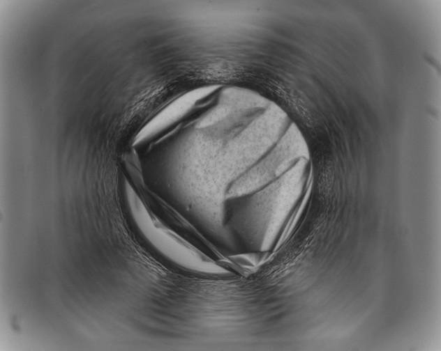 X0000097970689200804141052