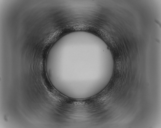 X0000097970690200804141052