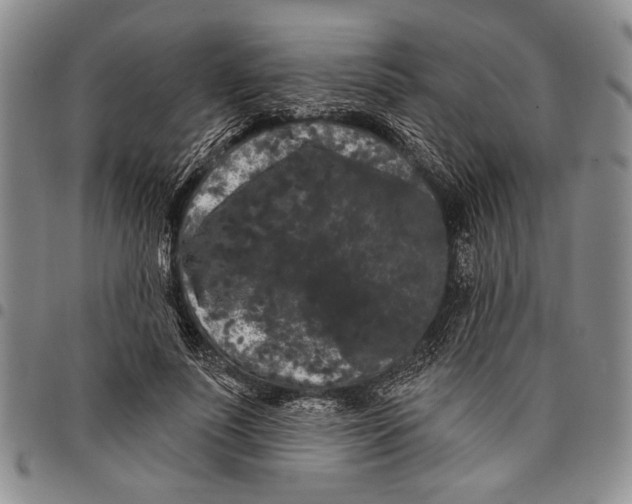 X0000097970691200804141052