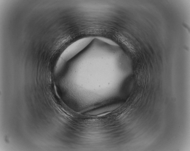 X0000097970692200804141052
