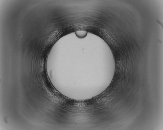 X0000097970694200804141052
