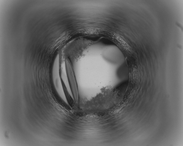 X0000097970696200804141052