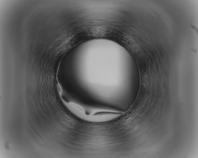 X0000097970697200804141052