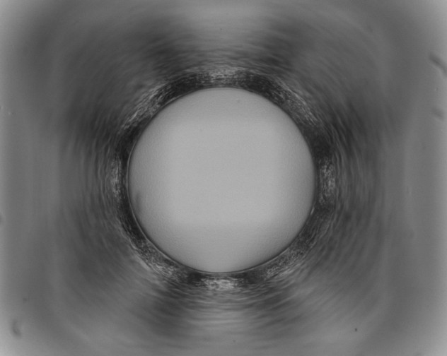 X0000097970698200804141052