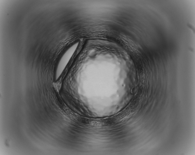 X0000097970699200804141052
