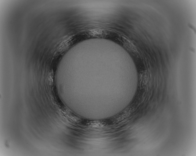 X0000097970702200804141052