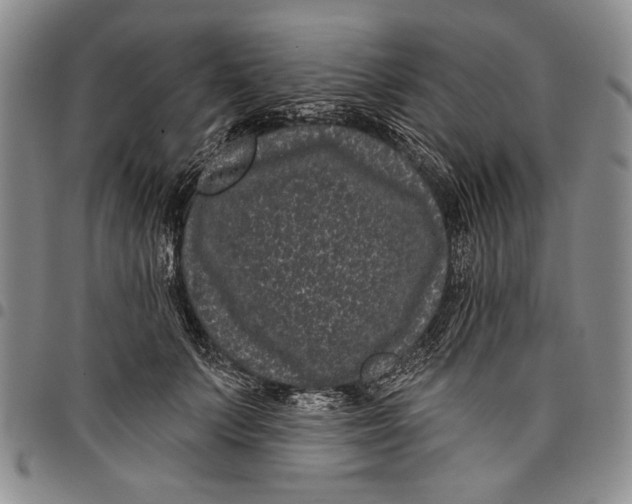 X0000097970703200804141052