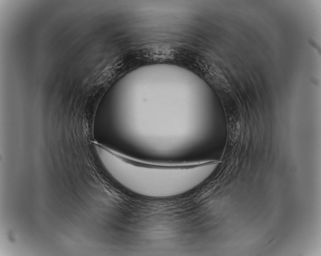 X0000097970704200804141052