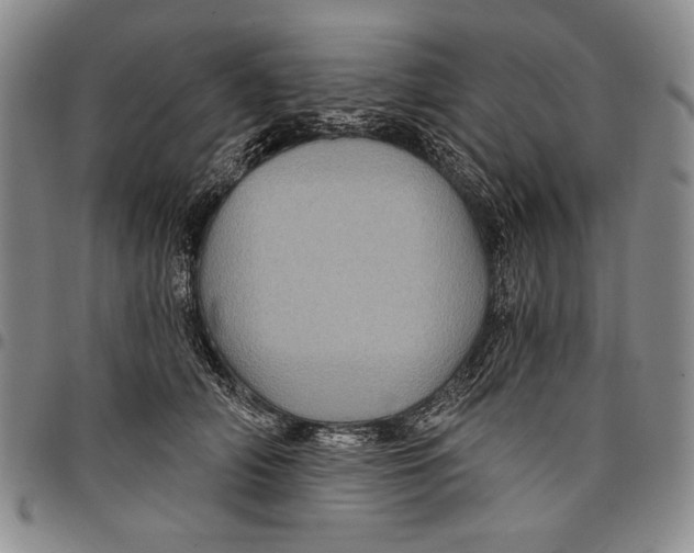 X0000097970706200804141052